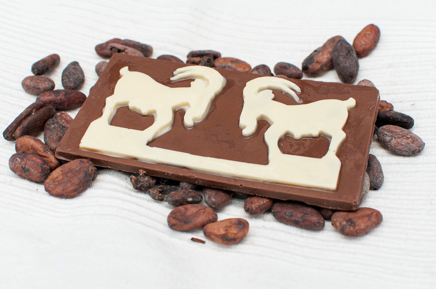 koziolki-poznanskie-tabliczka